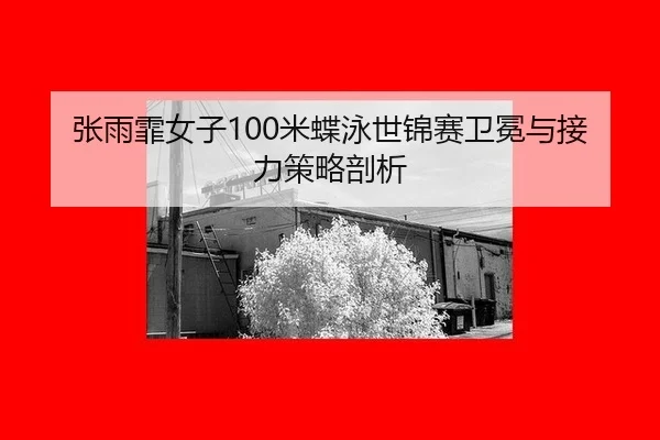 zhang-yu-fei-nv-zi-mi-die-yong-shi-jin-sai-wei-mian-yu-jie-li-ce-lve-pou-xi-2-494.jpg
